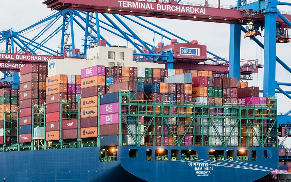 Ocean Shipping from China to the U.S.: Strategies to Prevent U.S. Customs Cargo Detention and Manage Compliance Risks | Authoritative Guide by Mihan Logistics